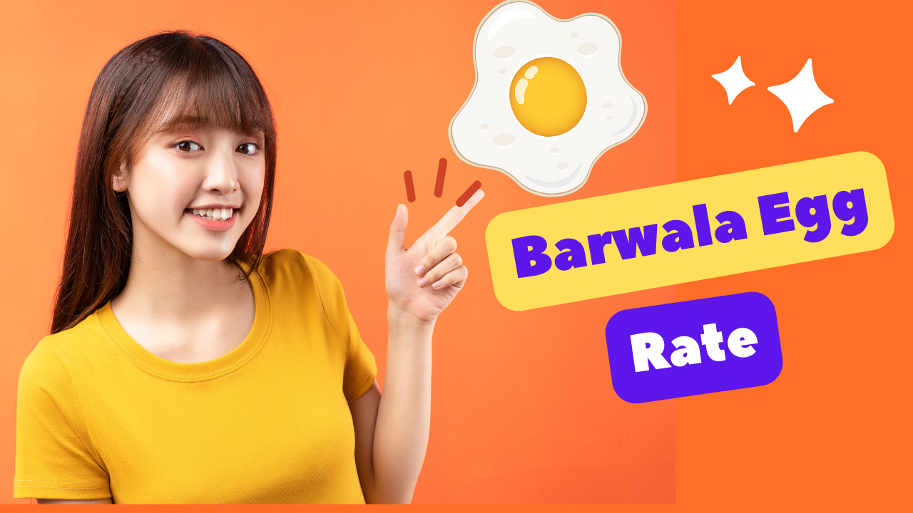 barwala egg rate